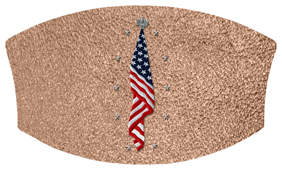 DNSWILL 421 SH BZ Flag at Rest Shimmer Bronze